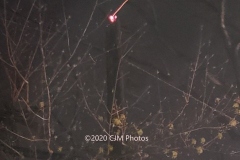 20200413_225733