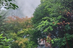 20230807_083710