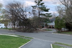 Photo-Apr-15-19-19-42